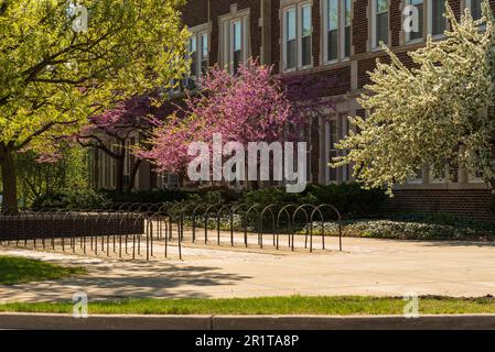 East Lansing MI - 14 maggio 2022: Portabiciclette vuoto sul Michigan state University Campus Foto Stock