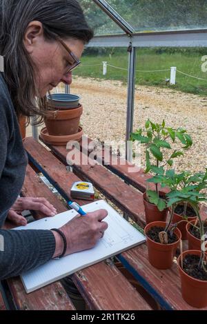 Donna che progetta la disposizione delle piante nella sua serra per la stagione prossima. Foto Stock