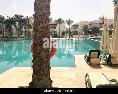 Rilassatevi nella piscina con acqua blu e lettini per prendere il sole con ombrelloni sullo sfondo di un tronco di palma con un anello di vita in una tropica marina Foto Stock