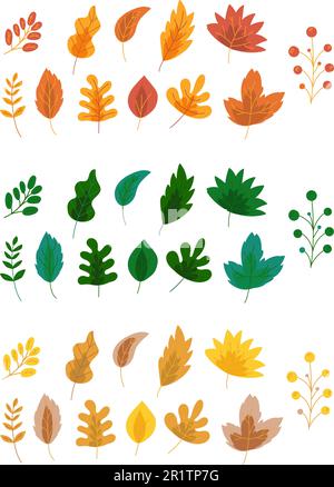 Autunno foglie composizioni colorate, set di illustrazioni vettoriali. Elemento di design cartoon foliage Illustrazione Vettoriale