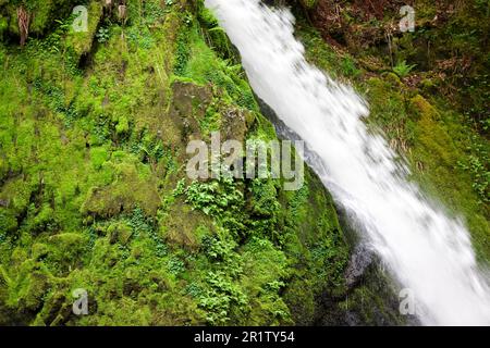 La cascata di Ceunant Mawr si trova nel villaggio di Llanberis in Snowdonia. E 'visto qui durante un periodo asciutto che rivela il giardino di muschio dietro le cascate. Foto Stock