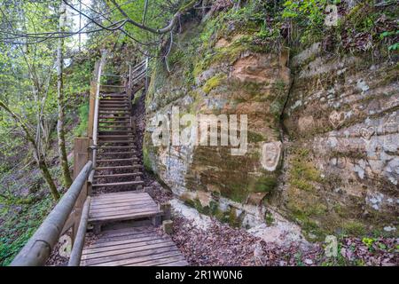 Scale in legno su sentieri escursionistici. Le belle foreste della Lettonia. Parco Nazionale di Gauja, Sigulda. Foto Stock