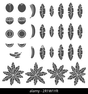 Set di illustrazioni in bianco e nero con palme tropicali, foglie, cocco e banana. Oggetto vettoriale isolato su sfondo bianco. Illustrazione Vettoriale