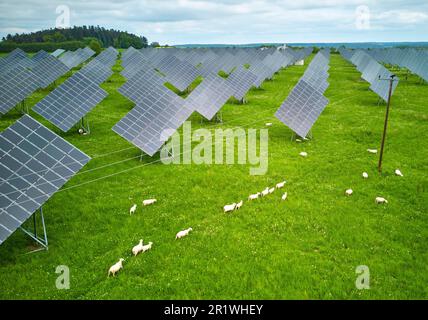 Campo fotovoltaico a Waidhofen, Baviera, Germania, 14 maggio 2023. © Peter Schatz / Alamy Live News Foto Stock