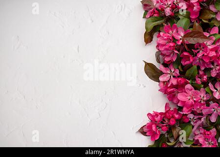 Fotografia in bianco di fiori rosa, sfondo, carta, invito, elegante, freschezza, naturale, bouquet, petali, esotico, verde, foglia, fioritura, ramo Foto Stock