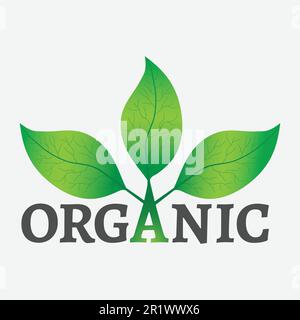 Concetto di organico o di un logo. Foglie verdi su un albero con testo organico su uno sfondo bianco. Illustrazione Vettoriale