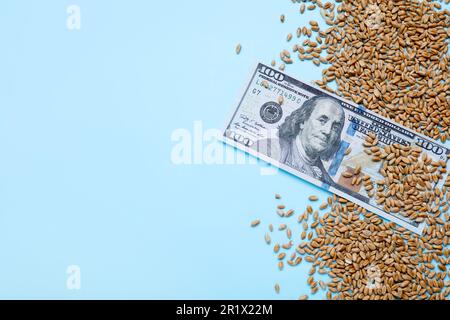 Concetto di importazione ed esportazione. Grani di grano e denaro su sfondo azzurro, piatto. Spazio per il testo Foto Stock