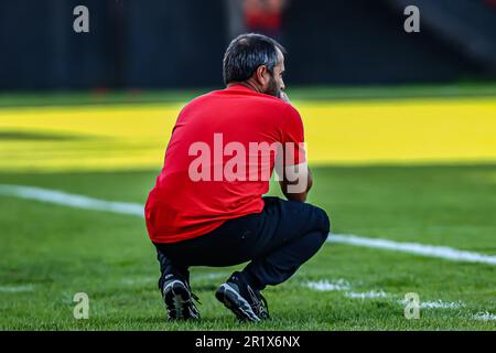 Pelotas, Brasile. 15th maggio, 2023. RS - PELOTAS - 05/14/2023 - BRASILEIRO D 2023, BRASILE DE PELOTAS X SAOJOSEENSE - Rogerio Zimmermann allenatore del Brasile de Pelotas durante una partita contro Saojoseense allo stadio Bento Mendes de Freitas per il campionato brasiliano D 2023. Foto: Volmer Perez/AGIF/Sipa USA Credit: Sipa USA/Alamy Live News Foto Stock