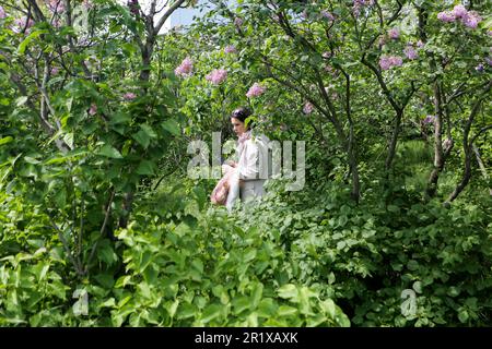 Una ragazza cammina tra le piante fiorite presso il Giardino Botanico di Odessa (Giardino Botanico dell'Università Nazionale di Odessa, che prende il nome da Ilya Mechnikov) Giardino Botanico di Odessa (Giardino Botanico dell'Università Nazionale di Odessa Ilya Mechnikov) Sul territorio del giardino si presentano oltre 3.000 specie verdi con una superficie di circa 16 ettari. Il giardino è una suddivisione educativa della Facoltà di Biologia dell'Università, sulla base dei diplomi e delle relazioni terminologiche vengono svolti annualmente, il personale scientifico del giardino partecipa al processo educativo. Il giardino è aperto Foto Stock