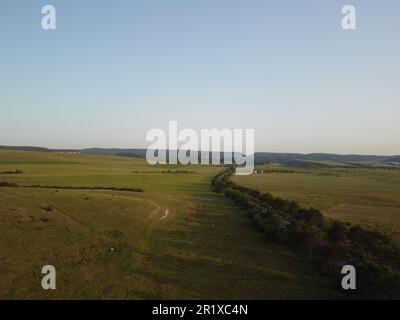 veduta aerea di una strada che attraversa un campo di grano verde in campagna. Campo di grano che soffia nel vento come il mare verde. Agronomia, industria Foto Stock