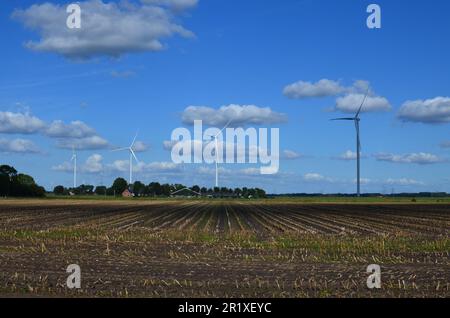 Fattoria eolica in campo nella soleggiata giornata autunnale. Fonte di energia alternativa Foto Stock