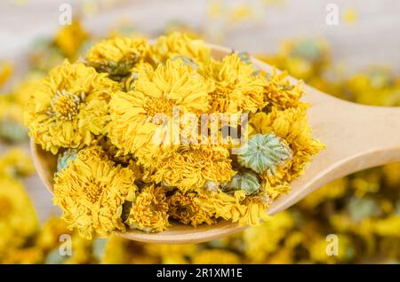 Chrysanthemum cinese fiore tè - germogli di crysanthemum essiccati per tè alle erbe su sfondo cucchiaio di legno. Foto Stock