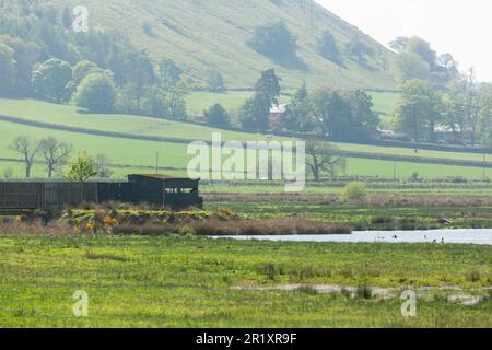 Un nascondiglio alla RSPB Loch Leven Nature Reserve, Perthshire & Kinross, Scozia Foto Stock