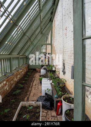 Vista interna di un lungo e alto-magra a serra in il giardino murato, Delapre Abbey, Northampton, Regno Unito Foto Stock