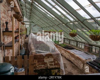 Vista interna di un lungo e alto-magra a serra in il giardino murato, Delapre Abbey, Northampton, Regno Unito Foto Stock