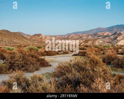 Tranquillo paesaggio del deserto di Tabernas in Andalusia, Spagna Foto Stock