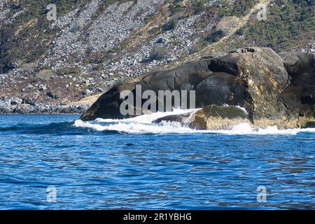 norvegia sul fiordo, spruzzare sulle rocce. Spruzzi d'acqua sulle pietre. Paesaggio costiero in Scandinavia. Foto del paesaggio da nord Foto Stock