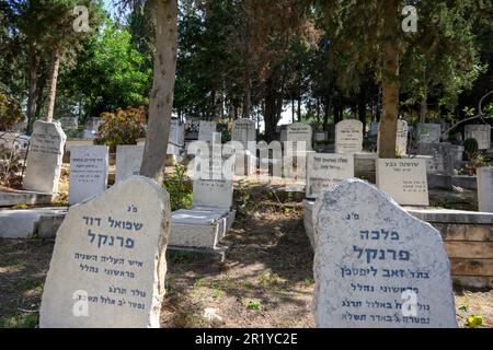 Nahalal Cemetery, Nahalal è un moshav nel nord di Israele. Rientra nella giurisdizione del Consiglio Regionale della Valle di Jezreel. Foto Stock