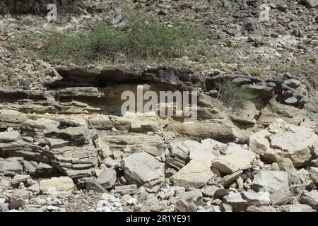 La gola di Olduvai o gola di Oldupai in Tanzania è una delle più importanti località paleoantropologiche del mondo; i molti siti esposti dalla Th Foto Stock