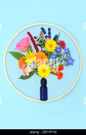 Design surreale di fiori estivi ed erbe utilizzate nella medicina naturale delle piante vegetali e negli oli essenziali di aromaterapia. Naturale guarigione floreale natura c Foto Stock