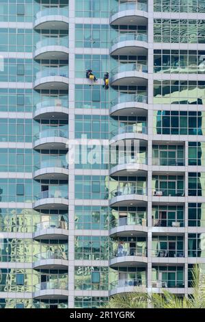 Pulitori per finestre che scendono giù per un grattacielo a Dubai Marina, Dubai, Emirati Arabi Uniti Foto Stock