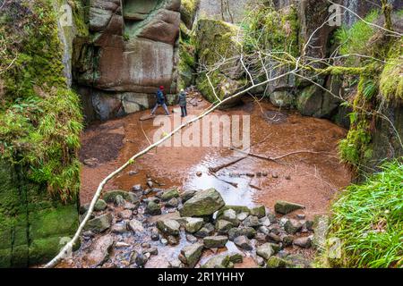 Vista dall’alto dell’IVA, una pozia glaciale, in Burn o’ VAT nel Muir della Dinnet National Nature Reserve nei pressi di Dinnet, nell’Aberdeenshire, in Scozia, nel Regno Unito Foto Stock