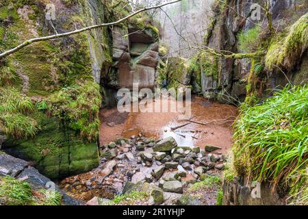 Vista dall’alto dell’IVA, una pozia glaciale, in Burn o’ VAT nel Muir della Dinnet National Nature Reserve nei pressi di Dinnet, nell’Aberdeenshire, in Scozia, nel Regno Unito Foto Stock