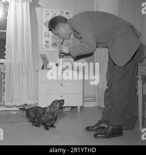 Divertimento negli anni '1950s. Un uomo sta giocando fingendo di giocare la sua pipa come un flauto per il suo cane che lo guarda con una strana espressione sul suo volto. Svezia 1953. Rif. Conard 2294 Foto Stock