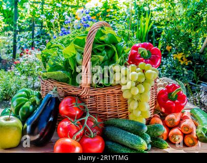 Varietà di prodotti freschi ortaggi e frutta in giardino. Alimentazione equilibrata Foto Stock