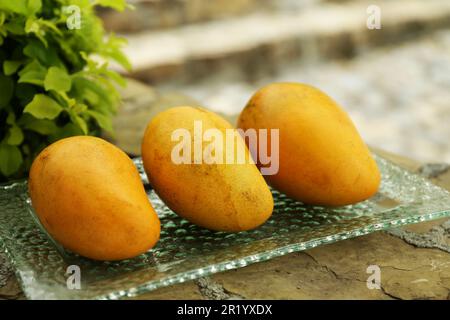 Deliziosi mango gialli maturi sul piatto all'aperto Foto Stock