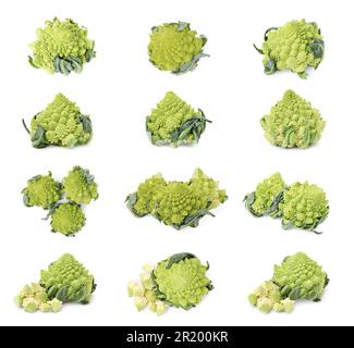 Set con freschi broccoli romanesco su sfondo bianco Foto Stock