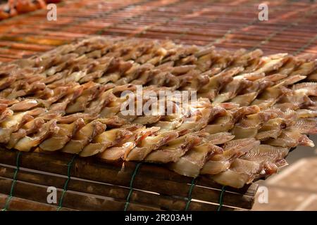 Il pesce di testa di serpente essiccato è considerato una conservazione alimentare a partire dalla carne Foto Stock