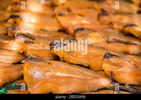 Il pesce di testa di serpente essiccato è considerato una conservazione alimentare a partire dalla carne Foto Stock