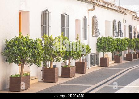 Tipica stradina spagnola con vecchie case classiche imbiancate decorate con piante in vaso. Piccolo villaggio in Spagna Foto Stock