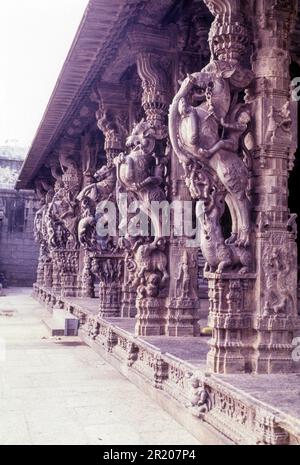 Sculture nel tempio di Jalakandeswarar all'interno del forte di Vellore, Tamil Nadu, India del Sud, India, Asia Foto Stock