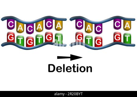 Mutazione per delezione, perdita di uno o più nucleotidi da un segmento di DNA, resa 3D Foto Stock