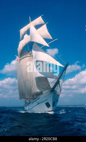 Nave a vela, windjammer, nave alta, prua, fiocco, vela, Mar Mediterraneo Foto Stock