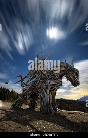 Il Drago Vaia (Vaia Dragon) è un'opera in legno creata dallo scultore Marco Martalar per pensare al cambiamento climatico. Lavarone, Trentino, Italia. Foto Stock