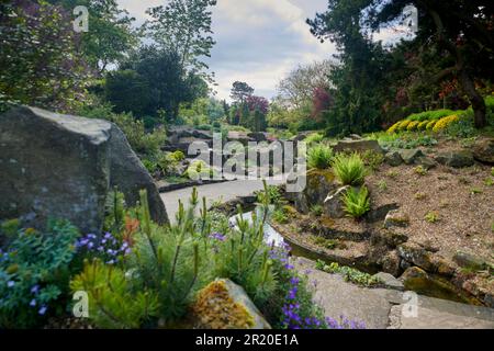 Burnby Hall Gardens in primavera. Foto Stock