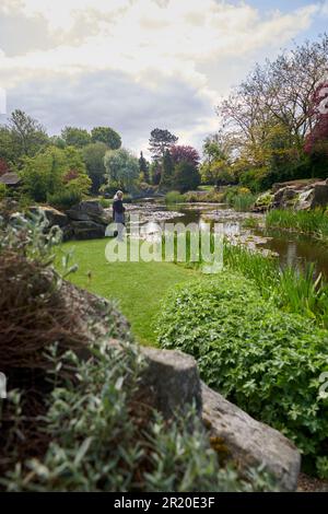 Burnby Hall Gardens in primavera. Foto Stock