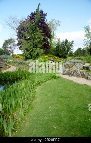 Burnby Hall Gardens in primavera. Foto Stock