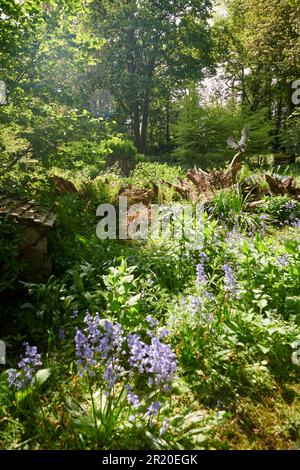 Burnby Hall Gardens in primavera. Foto Stock