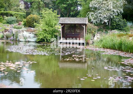 Pergola che si affaccia su uno stagno di Lilly nel Burnby Hall Gardens in primavera. Foto Stock