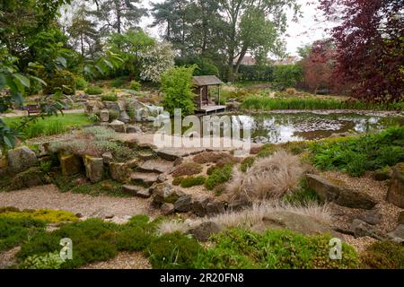 Pergola che si affaccia su uno stagno di Lilly nel Burnby Hall Gardens in primavera. Foto Stock