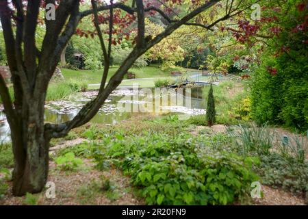 Burnby Hall Gardens in primavera. Foto Stock