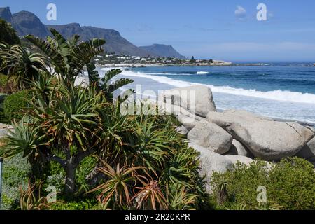 Vista sulla spiaggia di Clifton vicino a Città del Capo in Sud Africa Foto Stock