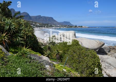 Vista sulla spiaggia di Clifton vicino a Città del Capo in Sud Africa Foto Stock
