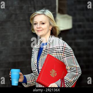 Fotografia di Liz Truss, Segretario di Stato per il commercio internazionale, che arriva fuori dal numero 10 di Downing Street, Londra prima di una riunione del gabinetto. Foto Stock