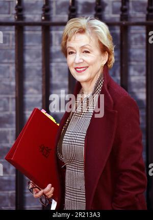 Fotografia di Andrea Leadsom, Segretario di Stato per le imprese, l'energia e la strategia industriale, lascia il numero 10 di Downing Street, Londra prima di un incontro con il gabinetto Foto Stock
