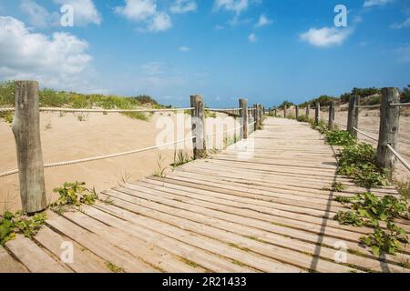 Una passerella in legno si intreccia tra dune sabbiose e vegetazione lussureggiante, creando un accattivante sentiero che ti immerge nella serena bellezza di questa costa Foto Stock